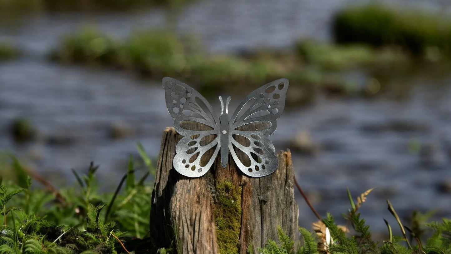 Butterfly Wall Art